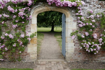 Fototapeta na wymiar roses over a stone arch