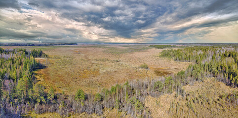 panorama of peat swamp under sky with heavy clowds