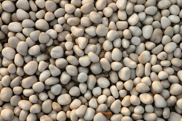white pebble stones