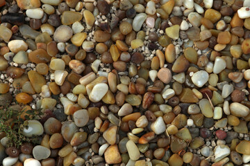 black and white pebbles