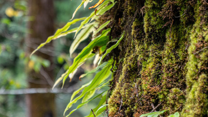 Khumbu Valley, Nepal