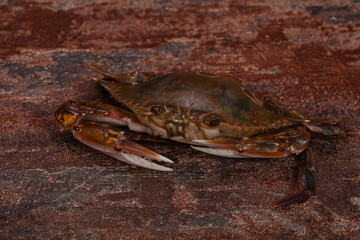 Raw crab - ready for cooking