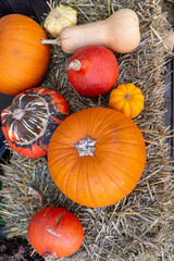 verschiedene Kürbisse liegen auf einem Haufen auf Stroh