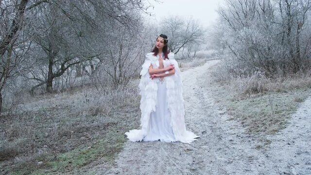 beautiful fantasy woman snow queen standing in cold forest. White creative cape cloak, silver tiara, diadem, bird white feathers dress. Vintage Boho dress. winter nature snowy hoarfrost branch, trees