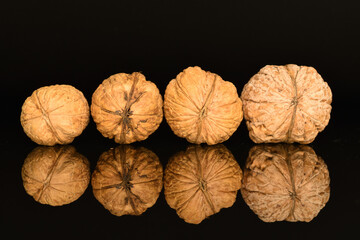 Ripe tasty, organic walnut, close-up, on a black background.