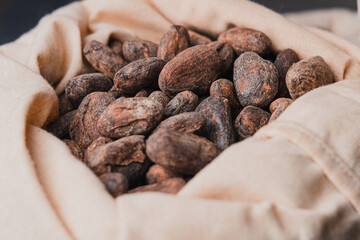 Cocoa beans in a bag