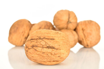 Ripe tasty, organic walnut, close-up, on a white background.