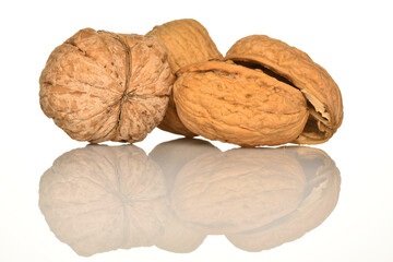 Ripe tasty, organic walnut, close-up, on a white background.