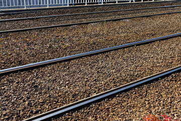 Tory tramwajowe w mieście © Miroslaw