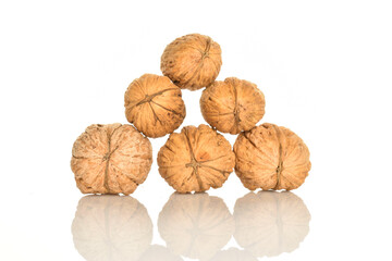 Ripe tasty, organic walnut, close-up, on a white background.