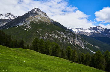 Fototapeta na wymiar Switzerland Alps Mountain National Park Ofenpass