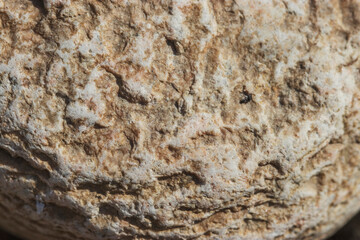 A stone with a beautiful rough brown texture. Natural textures in natural sunlight.