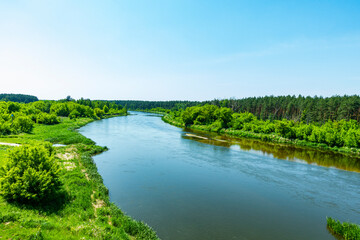 Narew Podlasie Podlaskie Narwiański Park Narodowy  Rzeka woda drzewa las