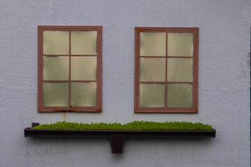 green window on a wall