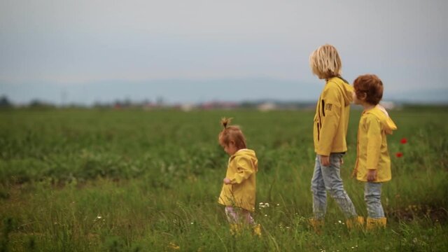 group of cute kids in yellow raincoats wandering the summer field at twilight