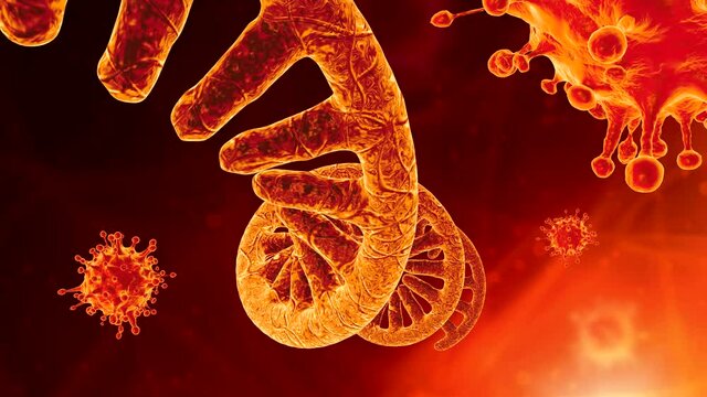 Single-stranded mRNA Deltacron Coronavirus. Microscopic view of a infectious Sars-CoV-2 virus cell. 3D animation 