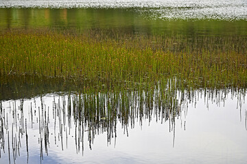 tranquil lake reflection landscape wood sky