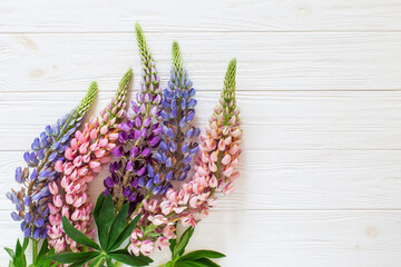 Lupines on the white wooden background. Flat lay flowers