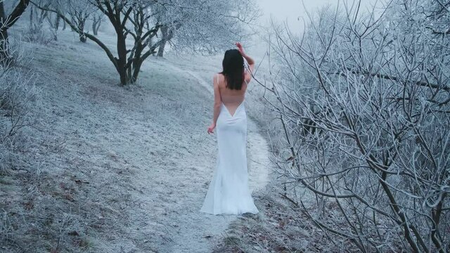 Young woman bride turned away walks on snowy road winter fog in forest. Beautiful trees in frost. brunette loose hair. Naked sexy back. White long wedding fashion vintage dress. Model posing rear view