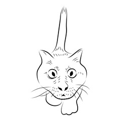  Cartoon learning cat. Sketch style.