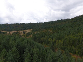 Obraz premium DCIM\100MEDIA\DJI_0018.JPG