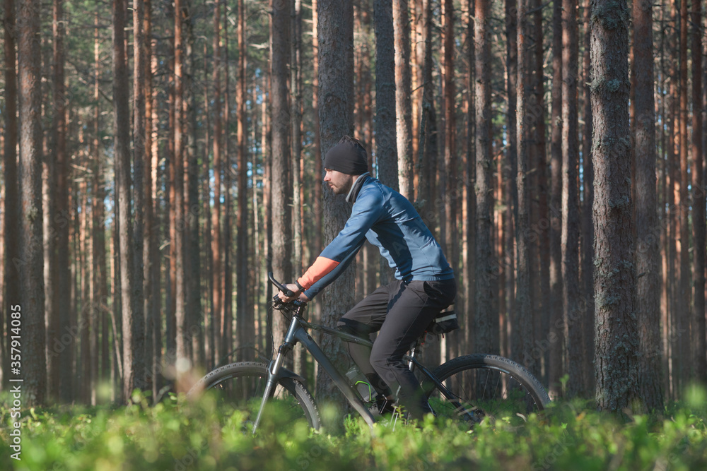 Wall mural a young man rides leisurely on a bicycle in a pine forest. side view.