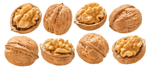 Walnut nuts, shelled and in shell, set isolated on white background