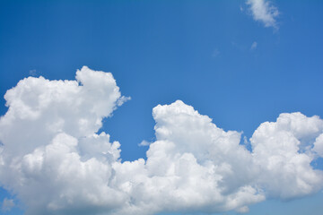 Naklejka na ściany i meble White clouds with blue sky