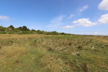Beautiful panoramic view over a green national park. Photo was taken on a sunny day in May with a blue sky and white clouds.
