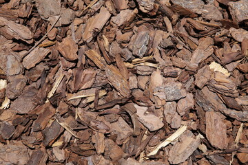 texture of brown tree bark or mulch. nature organic background, pattern 