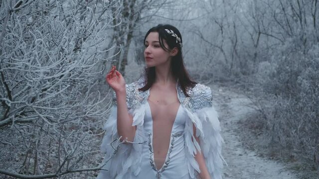 Fairytale beautiful woman in image swan princess, snow queen walks in winter snowy forest. White sexy long dress, medieval cape bird feathers. Smiling face. Hand gently touching hoarfrost branch tree