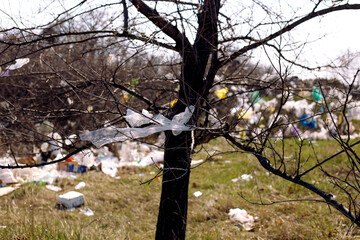 Field and trees covered with garbage and plastic bags thrown and scattered by the wind. Irreparable...