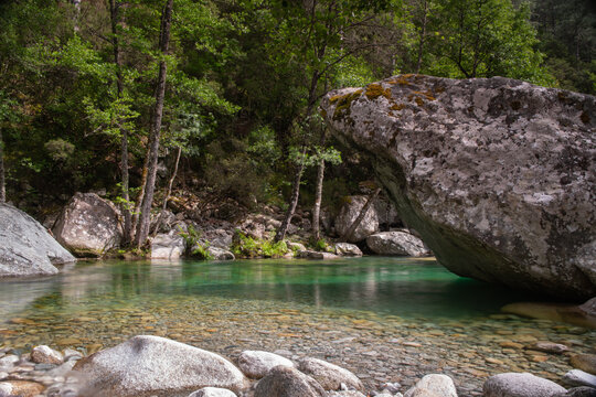 Water flowing through the Restonica Valley, in the heart of Corsica, France