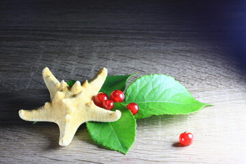 Texture with red berries with Starfish
