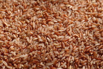 brown rice background