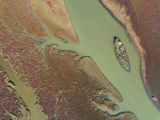 Aerial top down shot of a river delta