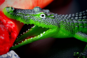 crocodile on the hunt