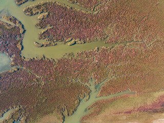 Aerial top down shot of a river delta