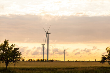 Group of windmills for electric power production in the yellow field of whea