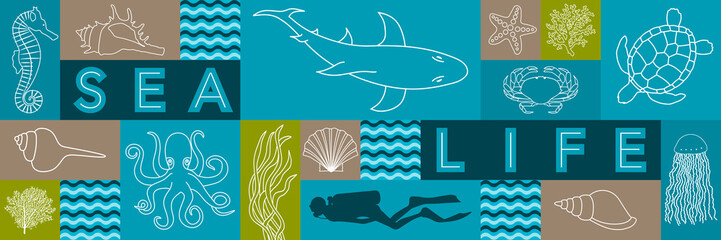 Bannière sur la vie marine avec des illustrations filaire d’animaux, de coquillage, de corail et une silhouette de plongeur.