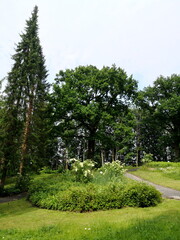 Üppige grüne Parklandschaft im Frühjahr an der Alten Müllerburg in Oerlinghausen am Hermannsweg...