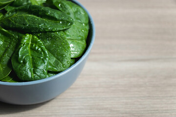 Closeup grey ceramic bowl with raw fresh spinach leaves on wooden background with copy space....