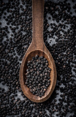 Black pepper large overhead close up arrangement in wooden spoon and spilled peppercorns on gray concrete background studio shot
