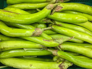 Pile of Green long eggplant for sale in stall at the supermarket. Long Green Eggplant is an important recipe ingredient in authentic Thai foods