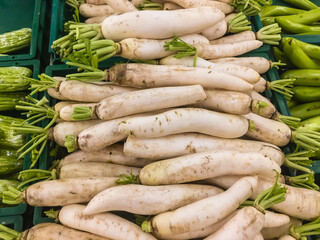 Fresh white daikon radish in stall at market. Daikon also known as white radish, winter radish, chai tow or chai tau. Daikon is harvested and consumed throughout the region, as well as in South Asia.