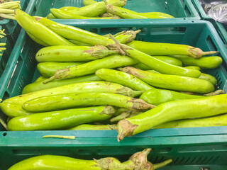 Pile of Green long eggplant for sale in stall at the supermarket. Long Green Eggplant is an important recipe ingredient in authentic Thai foods