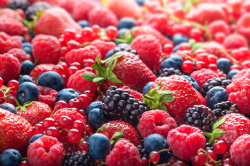 Berries overhead fresh colorful arrangement strawberries, blackberries, red currant, raspberries front view selective focus