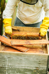 The beekeeper inspects the hives and also sets new frames for the bees. Beekeeping.