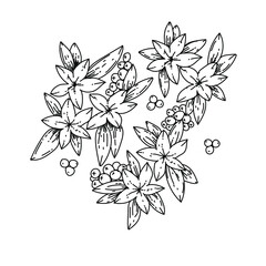 Set of floral elements.flower in black on the white background.Black and white vector illustration.