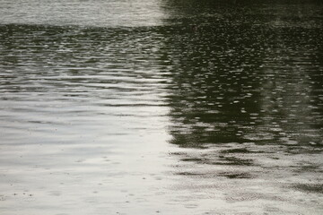 Rain drops making concentric circles on lake water surface
